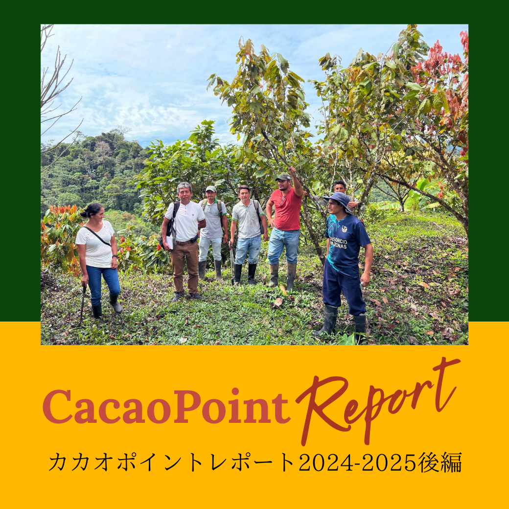 【カカオポイントレポート2024-2025後編】カカオと森の木々を護り、気候変動に立ち向かう