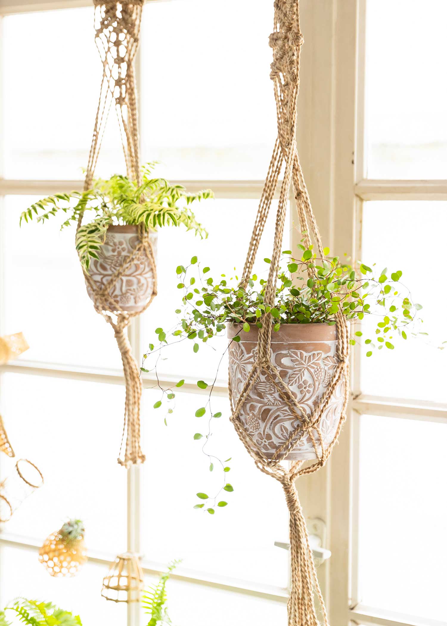 テラコッタの鉢(小)