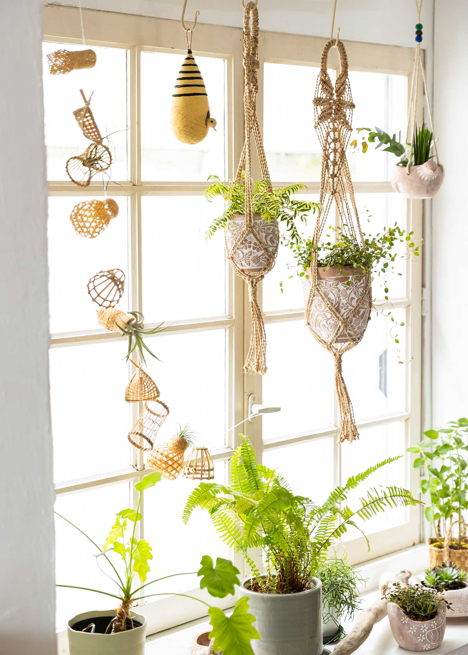 テラコッタの鉢(大)