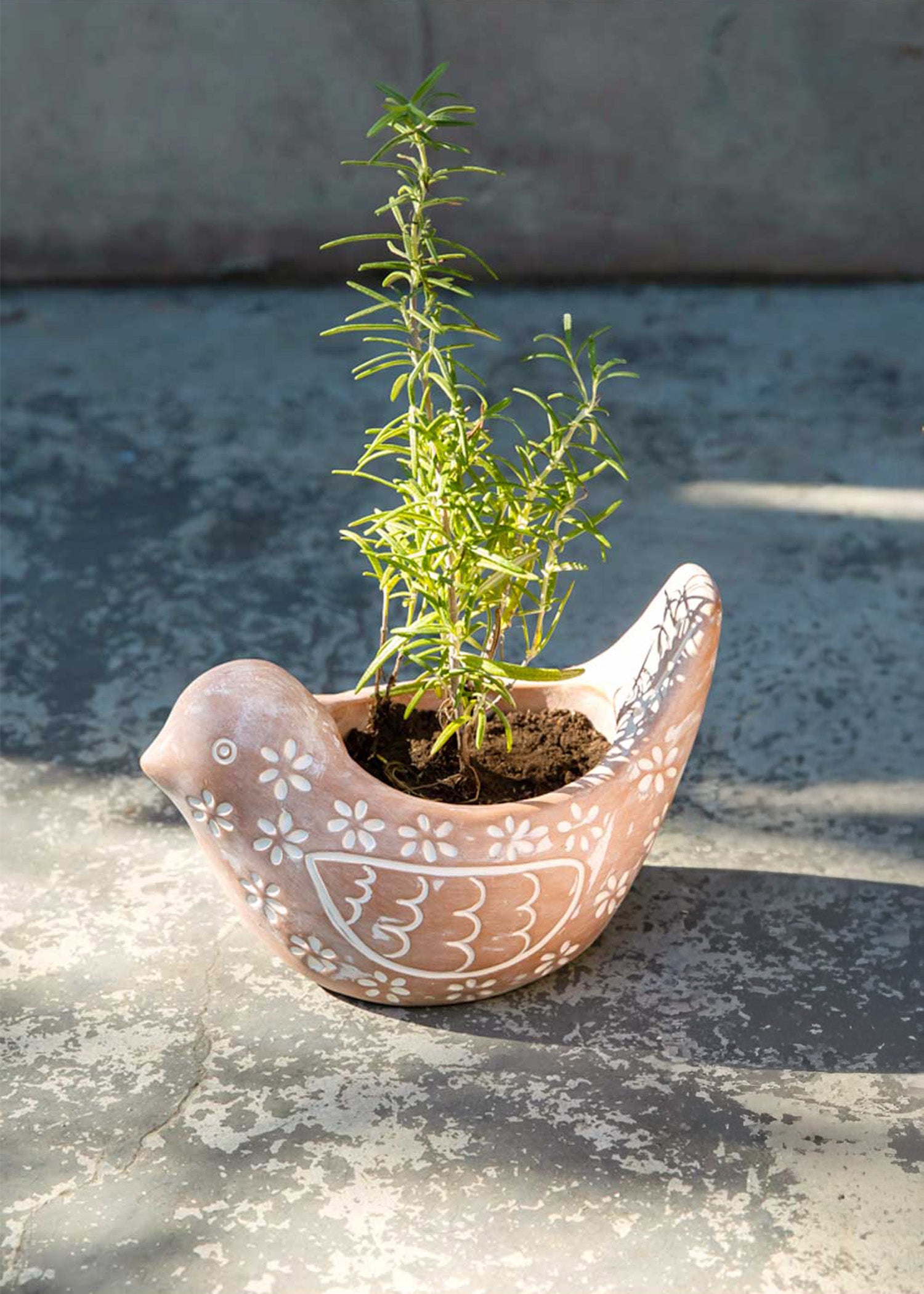 テラコッタのアニマルプランター