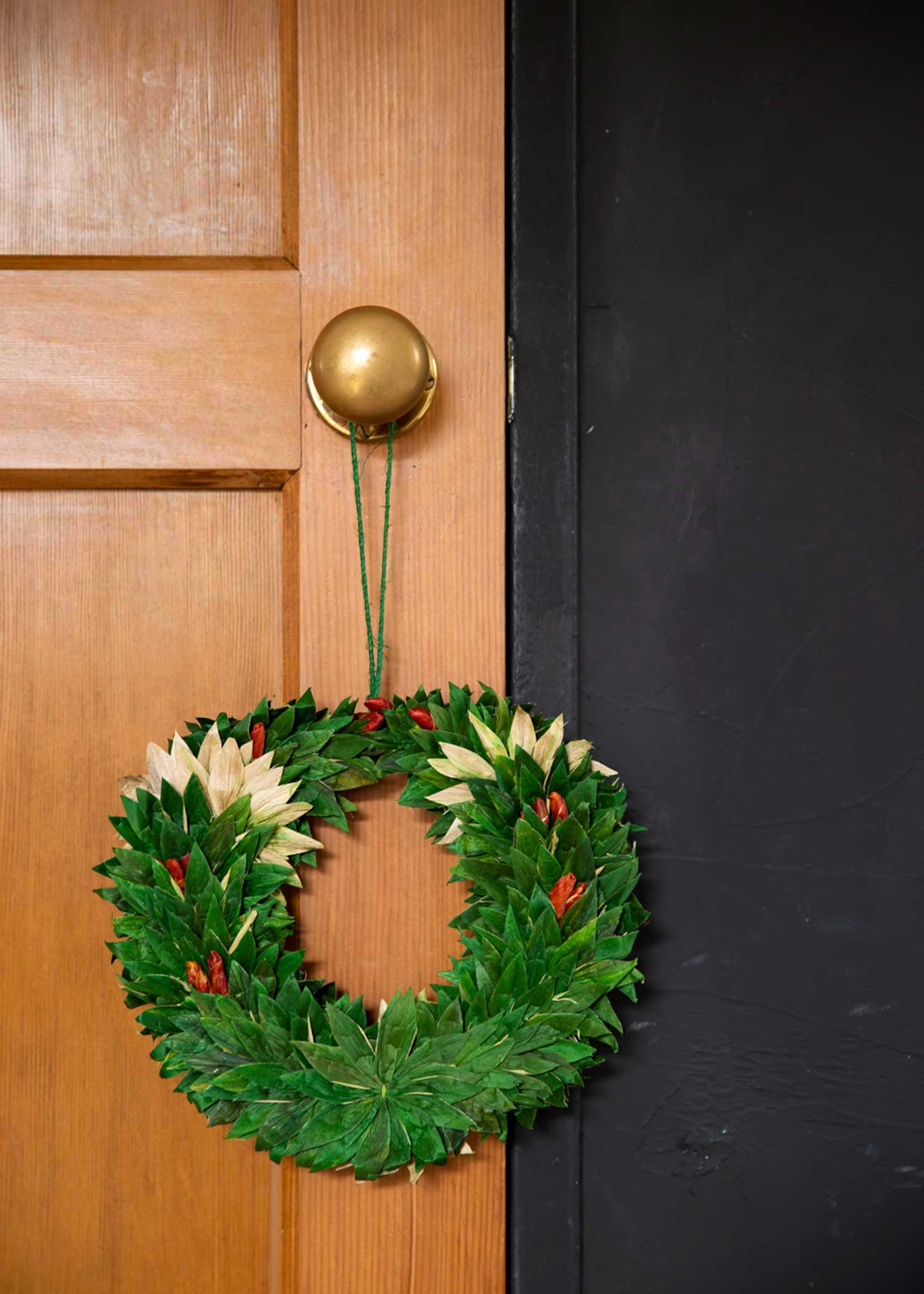 ホテイアオイのクリスマスリース